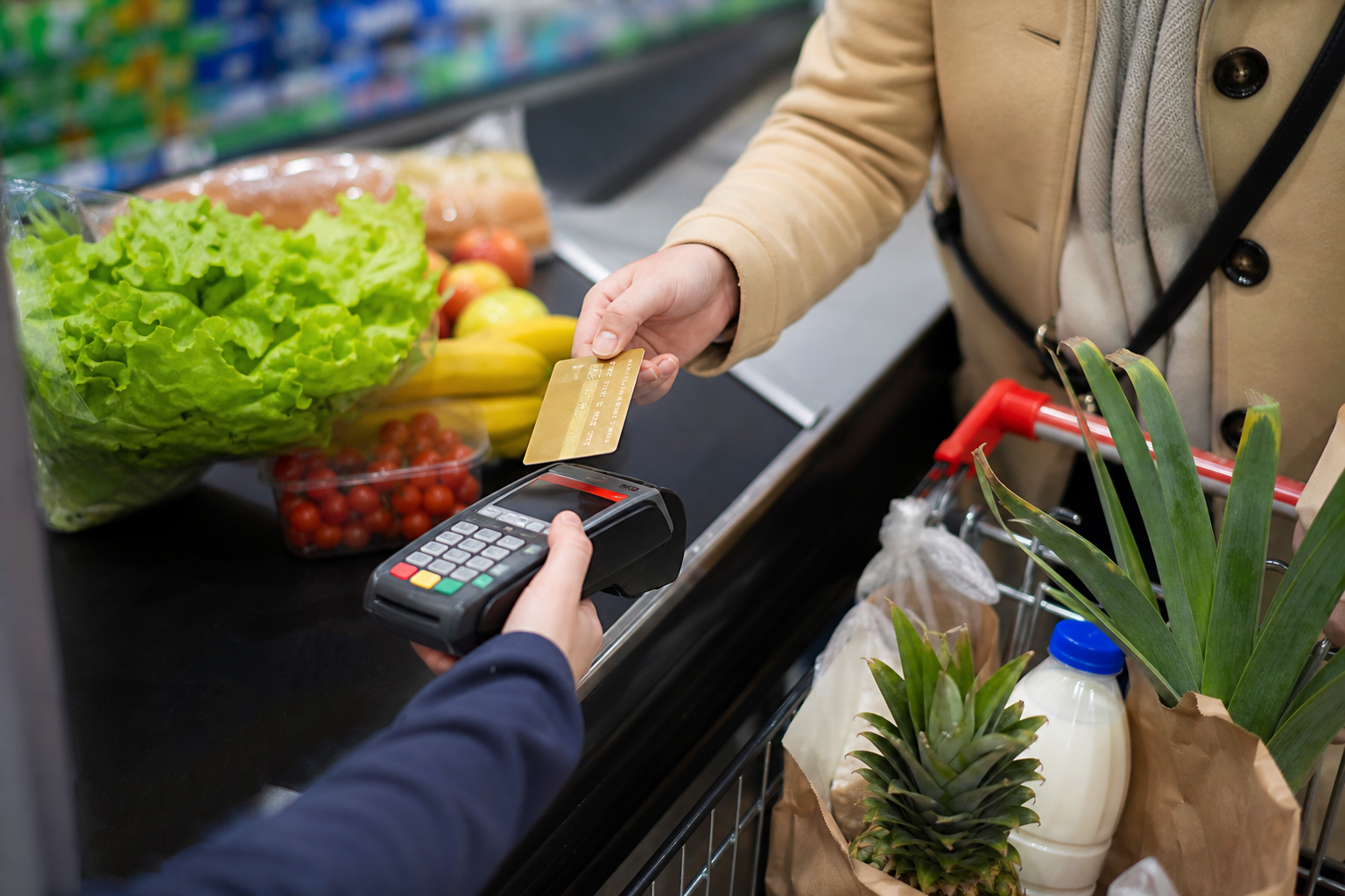 加拿大食品与生活必需品补助开始发放:最高 $1,890 背后,新移民真正要看懂什么? | CAN-MIGRATE